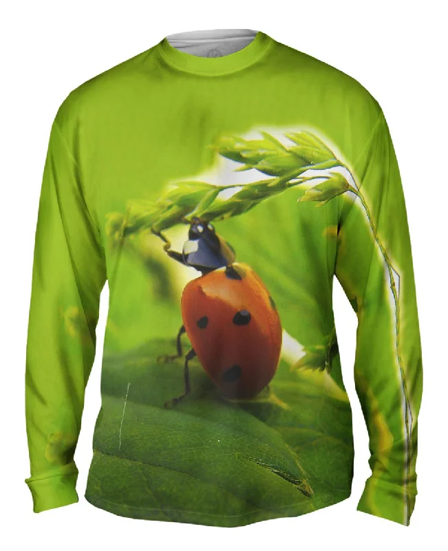 Pull Ups Ladybug